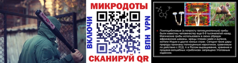 Купить  Таштагол  Галлюциногенные грибы Psilocybe 