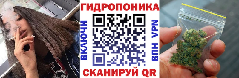 Конопля семена  Купить  Таштагол 
